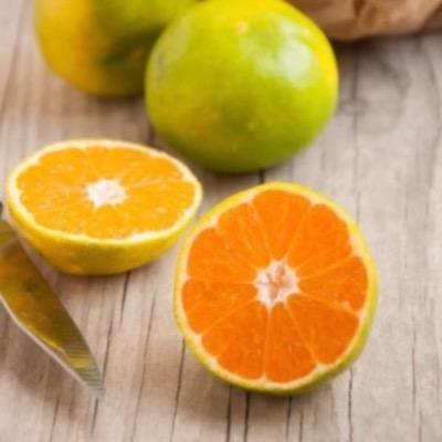 Le Drive tout nu Oranges bio - 1kg vrac-zero-dechet-ecolo-lille-pilaterie