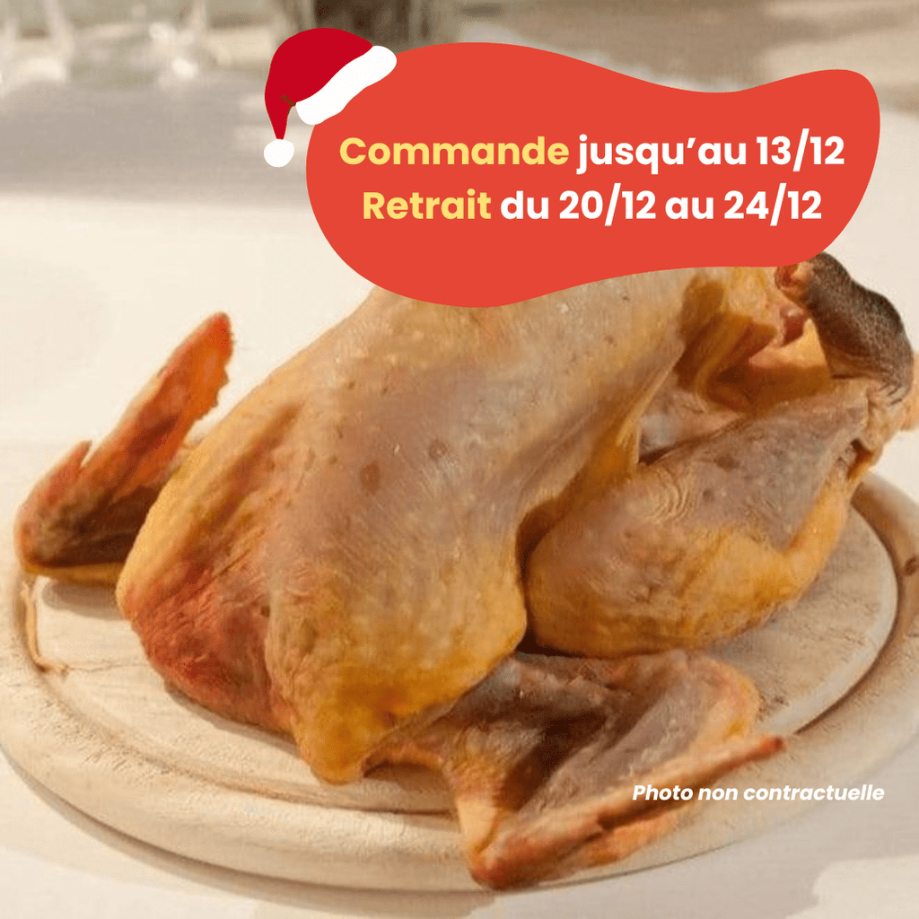 Barbak PRÉCOMMANDE Noël - ACOMPTE - Pintade grasse (1,6 à 2,4kg) vrac-zero-dechet-ecolo-lille-pilaterie