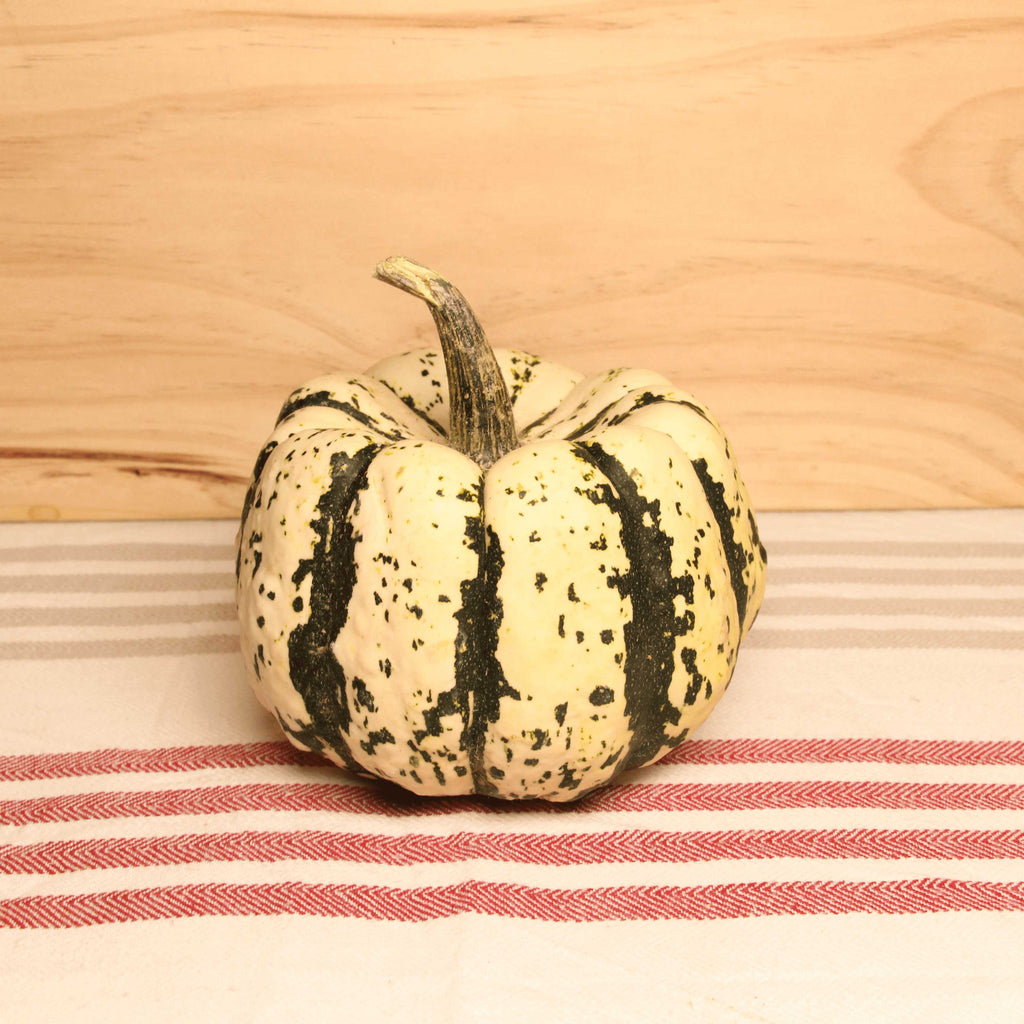 Ferme Bio Hebben Courge Patidou BIO - petite pièce 150 gr environ vrac-zero-dechet-ecolo-lille-pilaterie