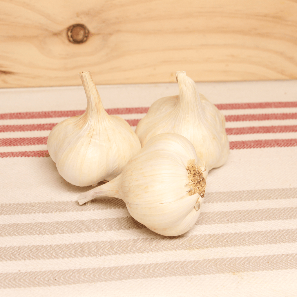 Hauts de France Ail blanc sec BIO - 150g vrac-zero-dechet-ecolo-lille-pilaterie