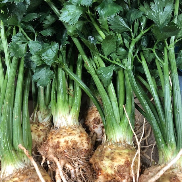 Hauts de France Céleri rave BIO 500 gr vrac-zero-dechet-ecolo-lille-pilaterie