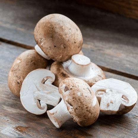 Hauts de France Champignon de Paris brun pied entier BIO - 250g vrac-zero-dechet-ecolo-lille-pilaterie