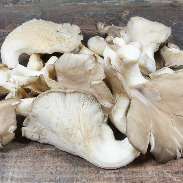 Hauts de France Champignons Pleurotes BIO - 250g vrac-zero-dechet-ecolo-lille-pilaterie