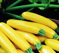 Hauts de France Courgette jaune longue BIO - 1kg vrac-zero-dechet-ecolo-lille-pilaterie