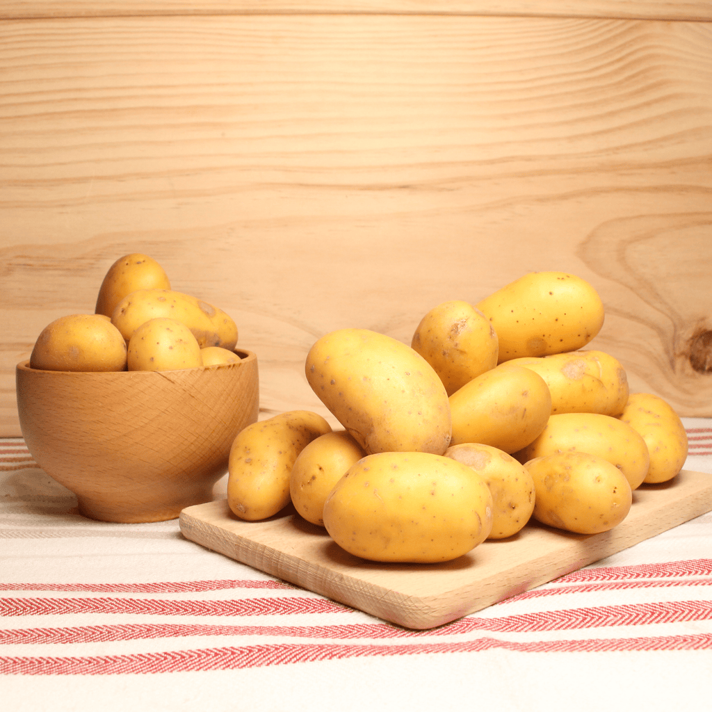 Hauts de France Pommes de terre bernadette grenailles (chair ferme) BIO - 1kg vrac-zero-dechet-ecolo-lille-pilaterie