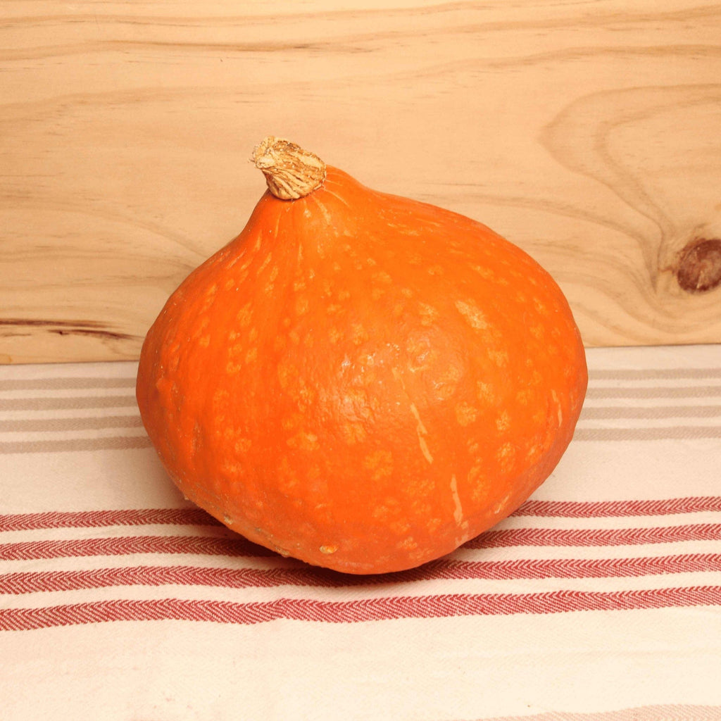 Hauts de France Potimarron BIO  - La pièce de 750 g à 1 kg vrac-zero-dechet-ecolo-lille-pilaterie