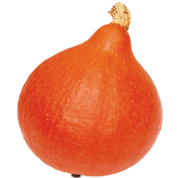 Hauts de France Potimarron Bio - petite pièce (-750g) vrac-zero-dechet-ecolo-lille-pilaterie