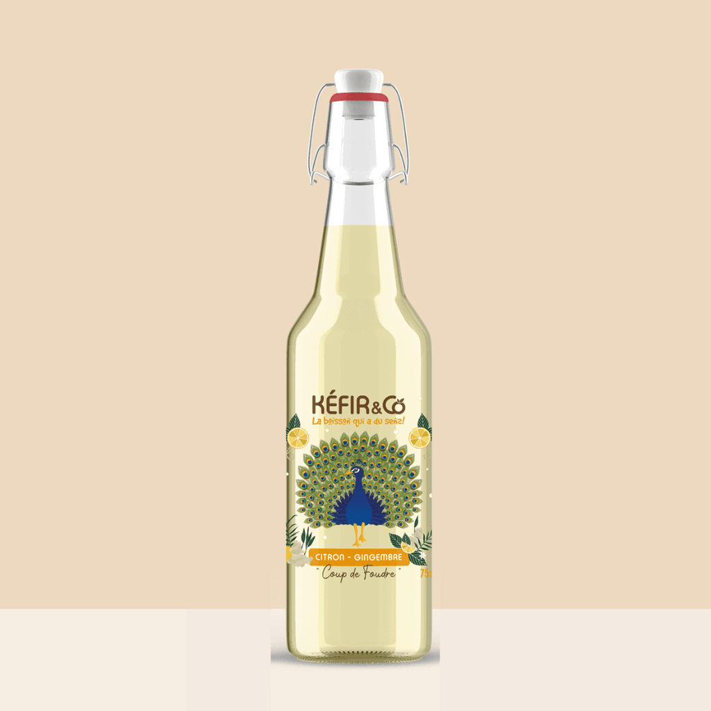 Kéfir and co Kéfir "Coup de Foudre" Citron-Gingembre BIO - 75cl vrac-zero-dechet-ecolo-lille-pilaterie
