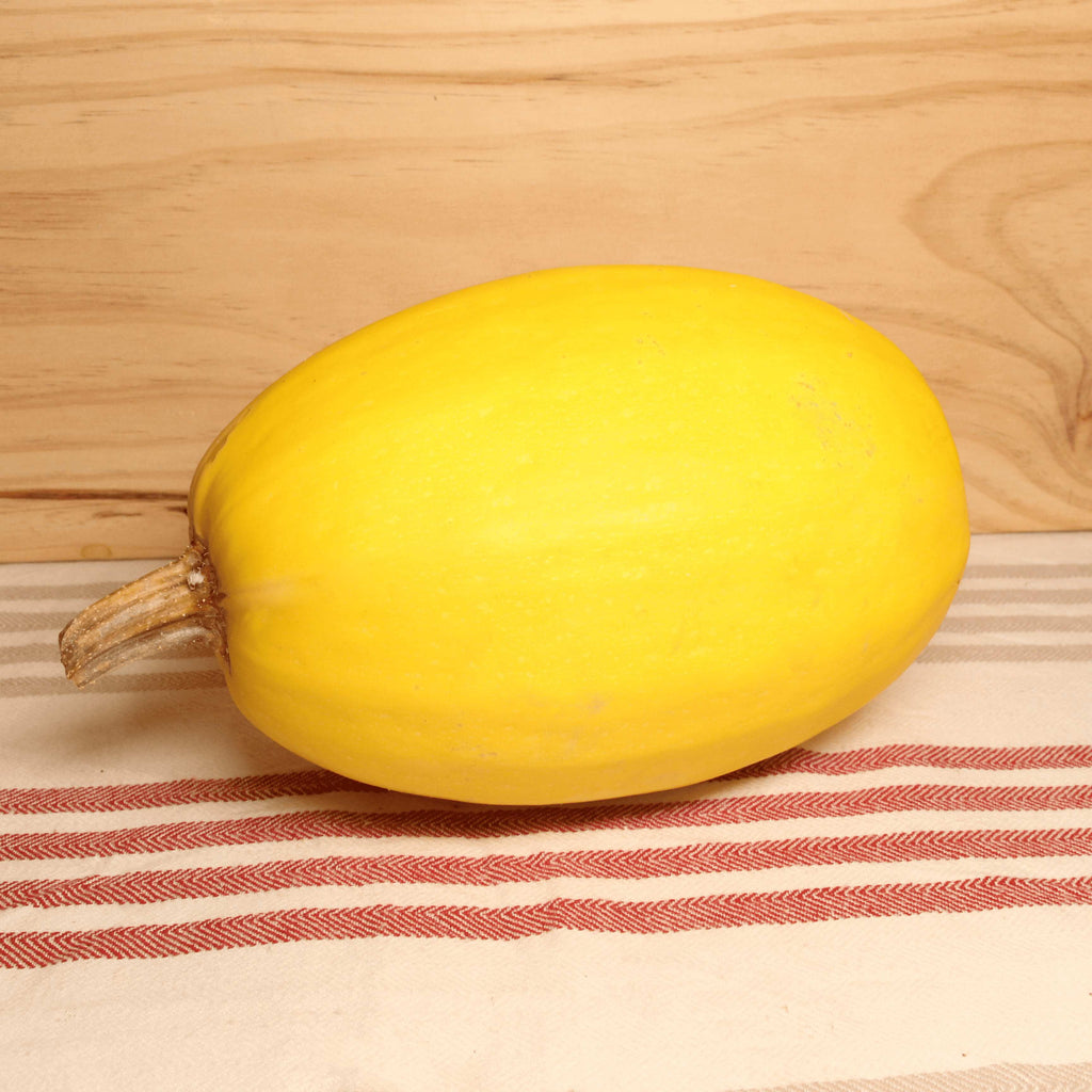 La Cense de la Vie Courge spaghetti BIO -pièce de 3 kg vrac-zero-dechet-ecolo-lille-pilaterie