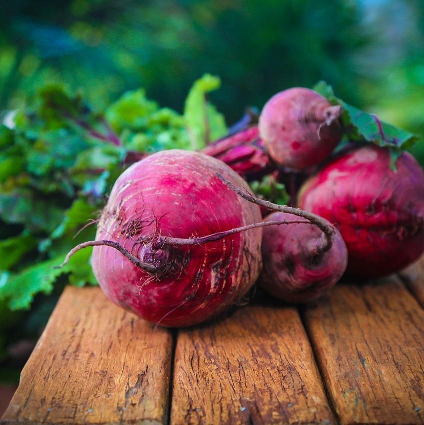 Le monde des Milles Couleurs Betteraves BIO chioggia - 500g vrac-zero-dechet-ecolo-lille-pilaterie