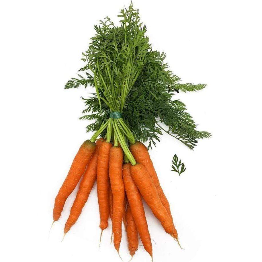 Les Serres des Près Carottes nouvelles BIO - La botte env 500g vrac-zero-dechet-ecolo-lille-pilaterie