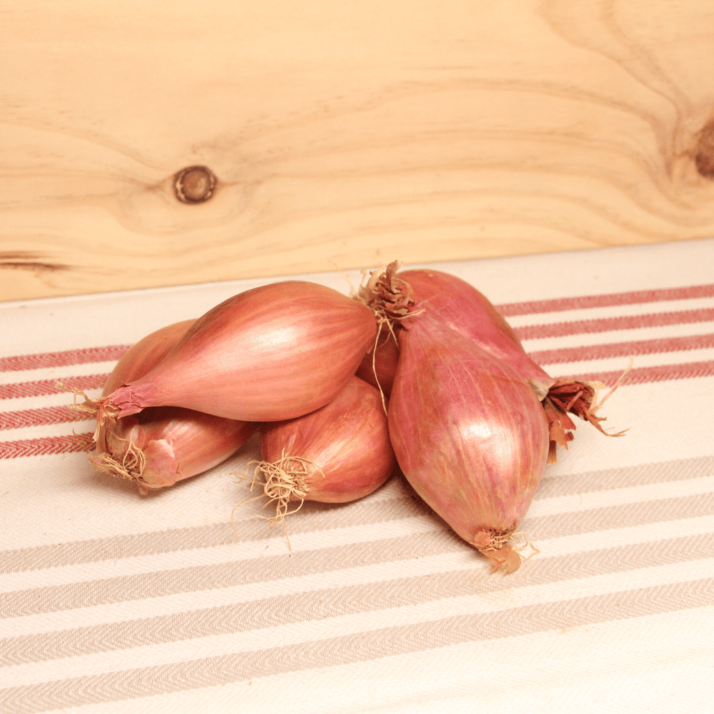 Les Serres des Près Échalotes BIO nouvelles demi-sèches - 150g vrac-zero-dechet-ecolo-lille-pilaterie
