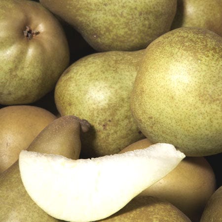 Les Vergers du Saulzoir Poire beurrée Hardy BIO - 1kg vrac-zero-dechet-ecolo-lille-pilaterie