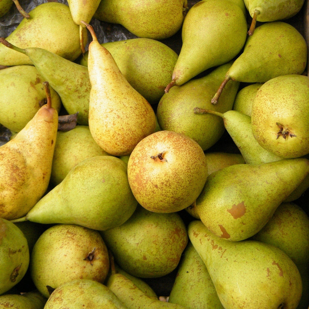 Les Vergers du Saulzoir Poire Novembra BIO  - 1kg vrac-zero-dechet-ecolo-lille-pilaterie