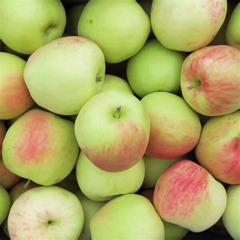 Les Vergers du Saulzoir Pomme Arkcharm BIO - 1kg vrac-zero-dechet-ecolo-lille-pilaterie