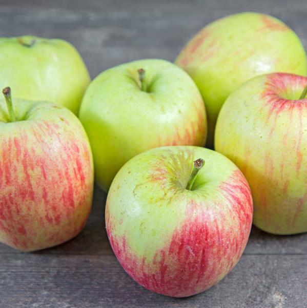 Les Vergers du Saulzoir Pomme Estivale BIO - 1kg vrac-zero-dechet-ecolo-lille-pilaterie