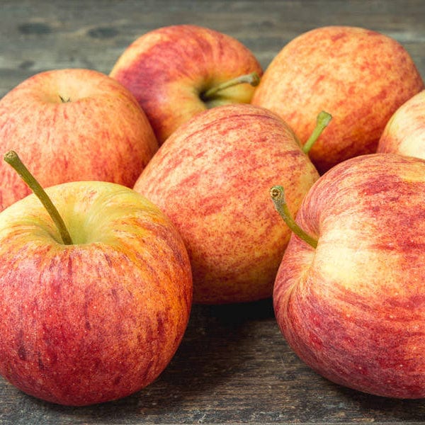 Les Vergers du Saulzoir Pomme Gala BIO - 1Kg vrac-zero-dechet-ecolo-lille-pilaterie