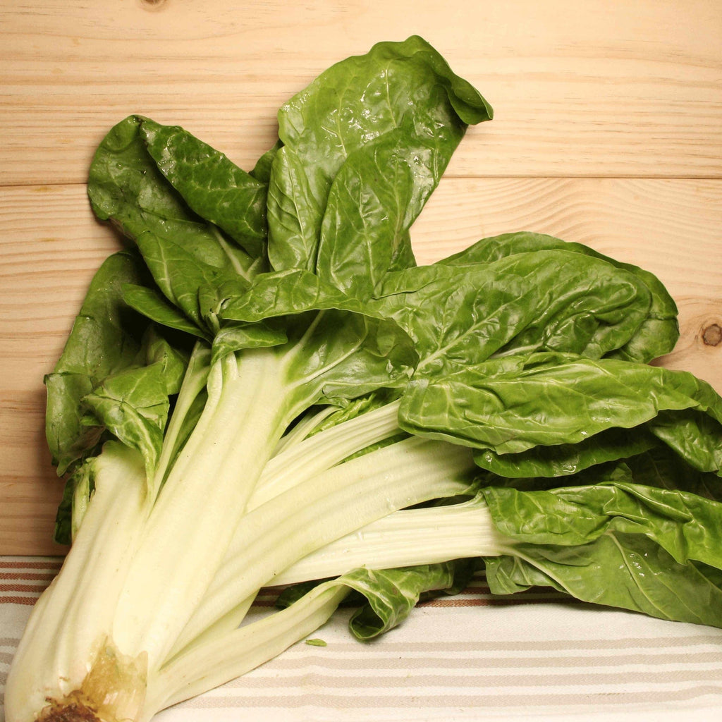 NOT_APPLICABLE Blette feuille BIO - 600g vrac-zero-dechet-ecolo-lille-pilaterie