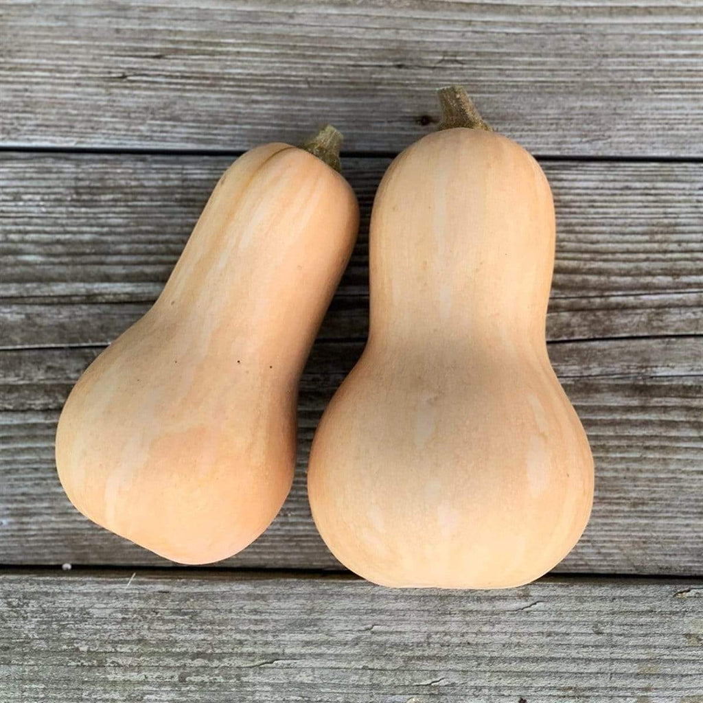 NOT_APPLICABLE Butternut BIO  1,5 kg à 1,750 kg vrac-zero-dechet-ecolo-lille-pilaterie