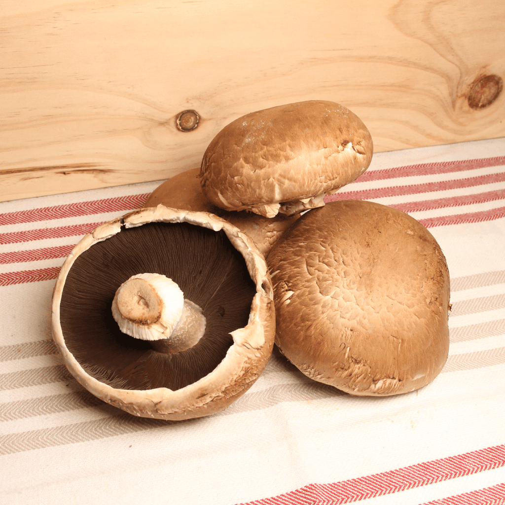 NOT_APPLICABLE Champignon Portobello BIO - 300g vrac-zero-dechet-ecolo-lille-pilaterie