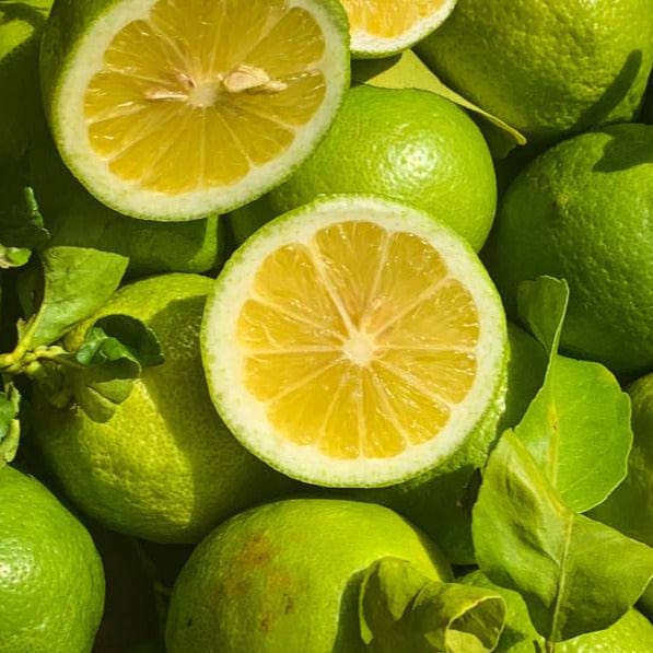 NOT_APPLICABLE Citron jaune Italie (coloration verte) BIO - 500g vrac-zero-dechet-ecolo-lille-pilaterie