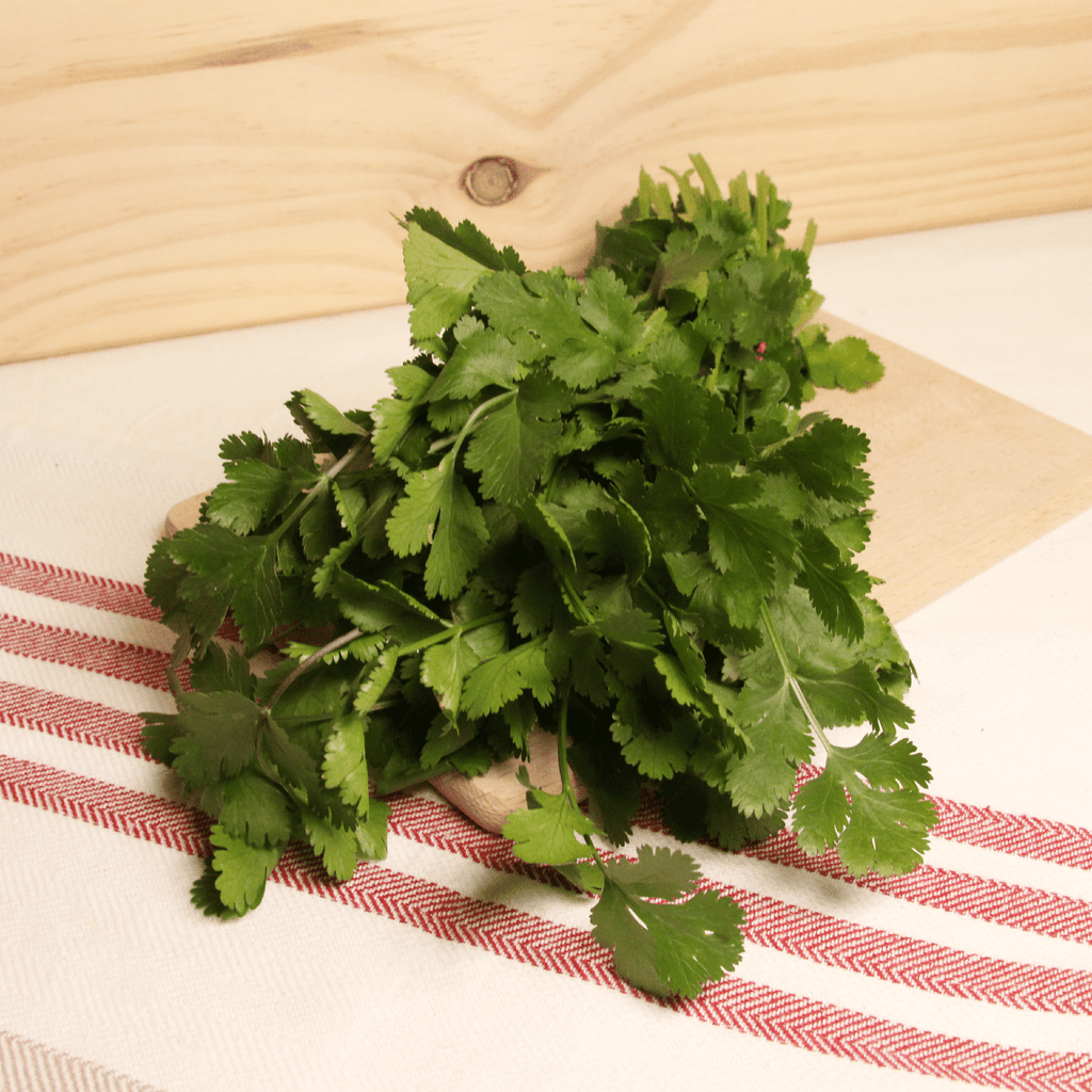 NOT_APPLICABLE Coriandre BIO - La botte vrac-zero-dechet-ecolo-lille-pilaterie