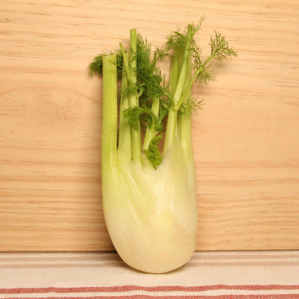 NOT_APPLICABLE Fenouil BIO - 1 pièce vrac-zero-dechet-ecolo-lille-pilaterie