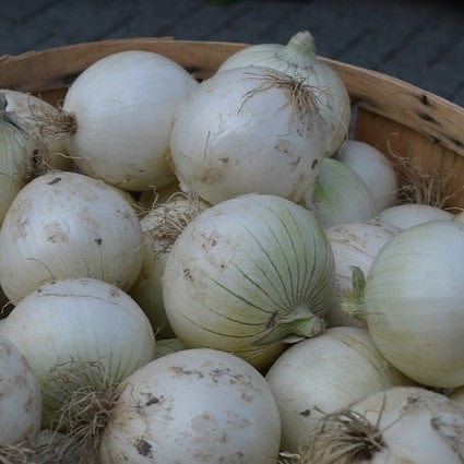 NOT_APPLICABLE Oignon blanc BIO - 500g vrac-zero-dechet-ecolo-lille-pilaterie