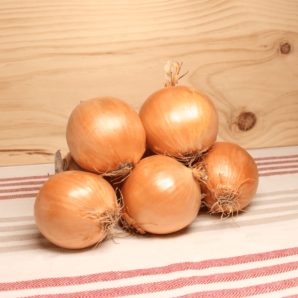 NOT_APPLICABLE Oignon jaune Demi-sec BIO - 1kg vrac-zero-dechet-ecolo-lille-pilaterie
