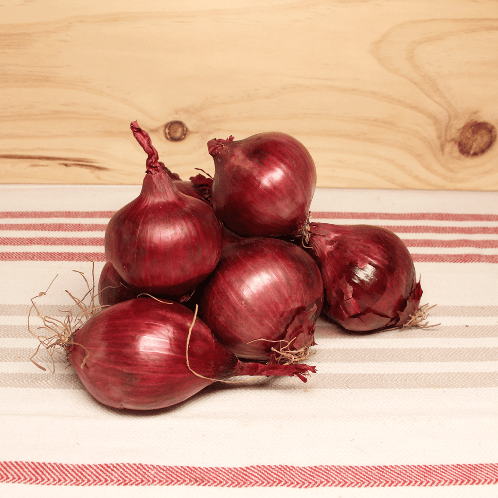 NOT_APPLICABLE Oignon rouge demi-sec BIO - 500g vrac-zero-dechet-ecolo-lille-pilaterie