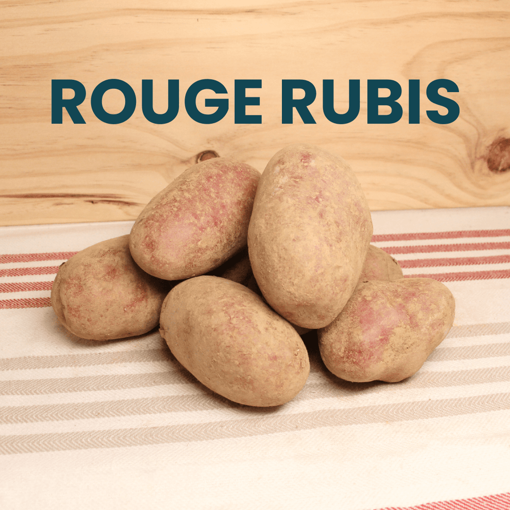 NOT_APPLICABLE Pommes de terre de consommation rouges Rubis (chair ferme) BIO 1kg vrac-zero-dechet-ecolo-lille-pilaterie