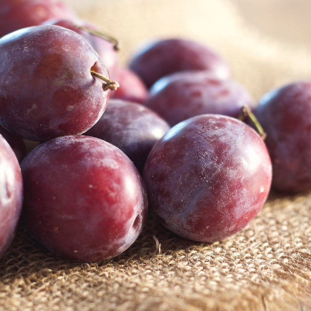 NOT_APPLICABLE Prune rouge BIO - 500g vrac-zero-dechet-ecolo-lille-pilaterie