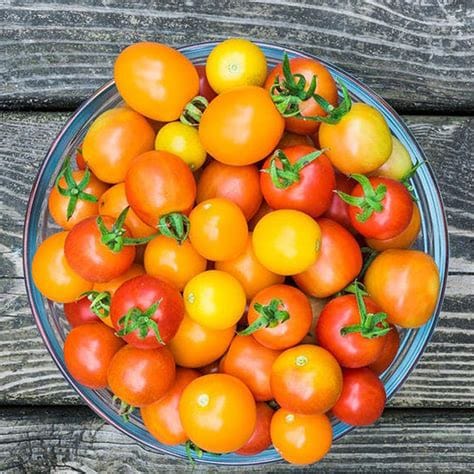 NOT_APPLICABLE Tomate cerise multicolore BIO - 250g vrac-zero-dechet-ecolo-lille-pilaterie