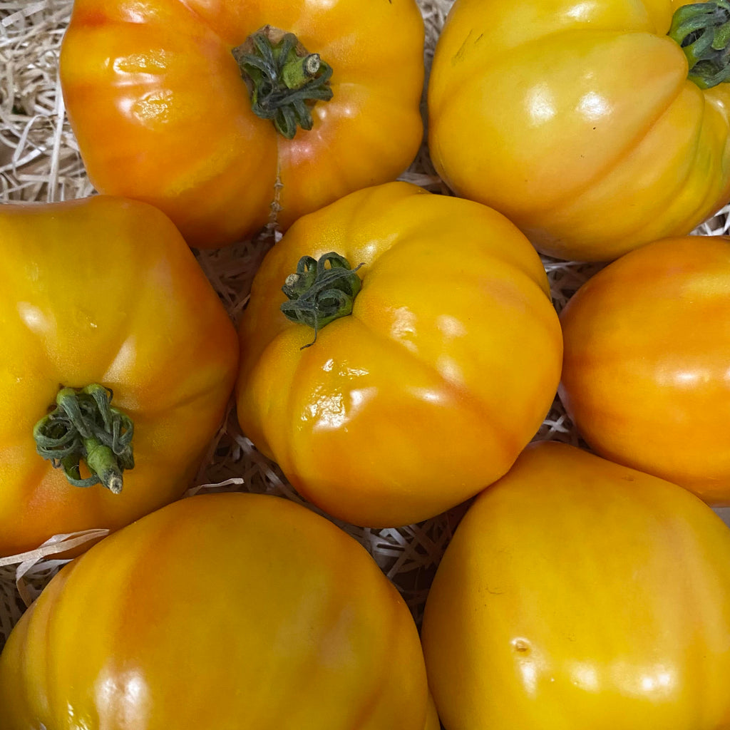 NOT_APPLICABLE Tomates Côtelées jaune  BIO - 950gr vrac-zero-dechet-ecolo-lille-pilaterie