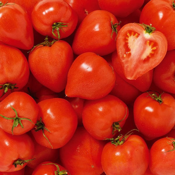 Spenninck FATIGUE Tomates allongées les coeurs BIO - 1 Kg vrac-zero-dechet-ecolo-lille-pilaterie