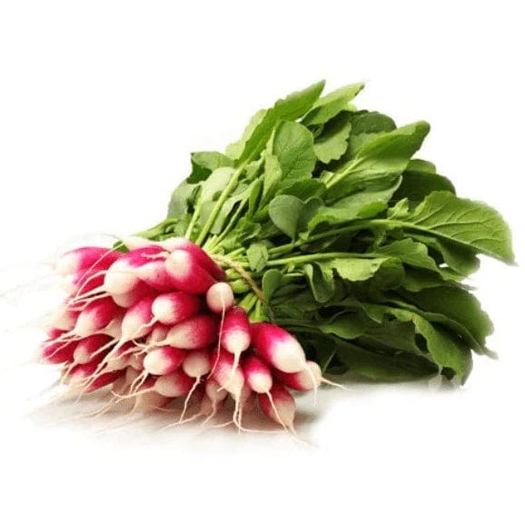 Au panier vert Radis Rose long BIO - la botte vrac-zero-dechet-ecolo-lille-pilaterie