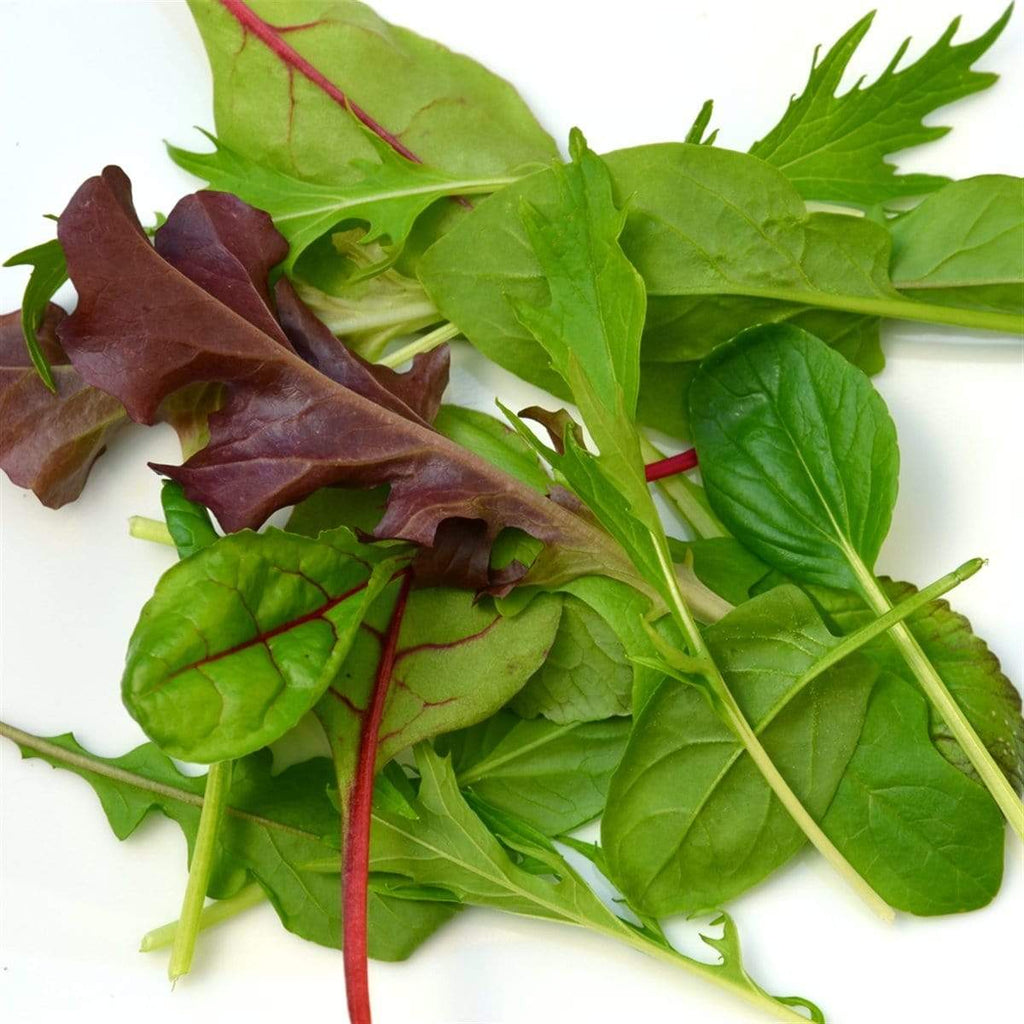 Ferme Bio Hebben Mesclun salades bio - 150g vrac-zero-dechet-ecolo-lille-pilaterie