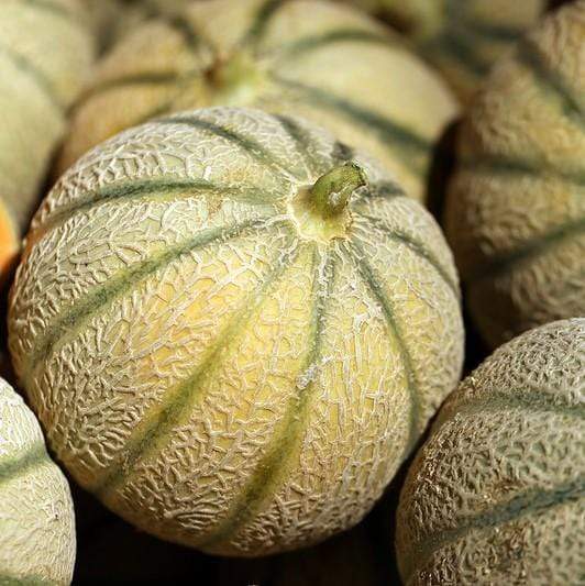 Le Drive tout nu Melons charentais BIO - La pièce (1kg environ) vrac-zero-dechet-ecolo-lille-pilaterie