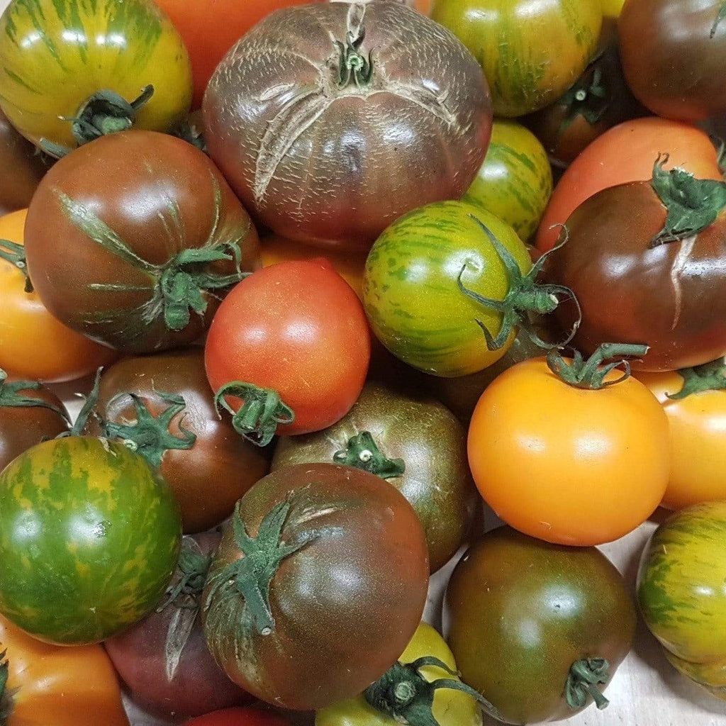 Le Drive tout nu Mix tomates anciennes BIO - 1kg vrac-zero-dechet-ecolo-lille-pilaterie