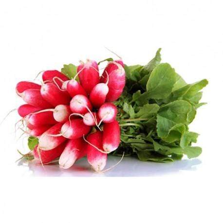Le Drive tout nu Radis Rose BIO - la botte vrac-zero-dechet-ecolo-lille-pilaterie