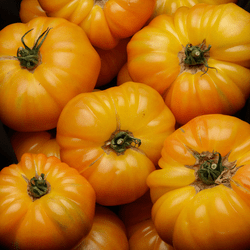 Le Drive tout nu Tomates côtelées jaunes bio - 1kg vrac-zero-dechet-ecolo-lille-pilaterie