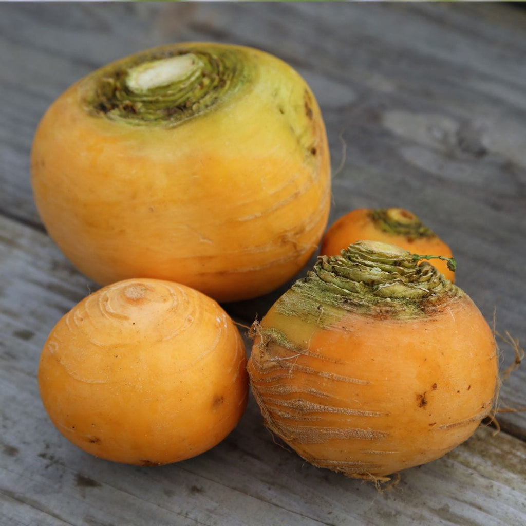 Les Légumes de Flo Navets jaunes vrac - 500g vrac-zero-dechet-ecolo-lille-pilaterie