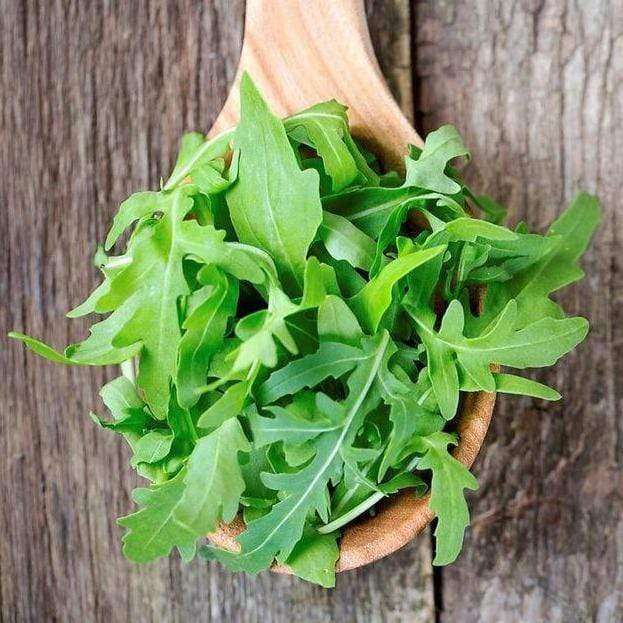 Les Serres des Près Roquette BIO - 150g vrac-zero-dechet-ecolo-lille-pilaterie