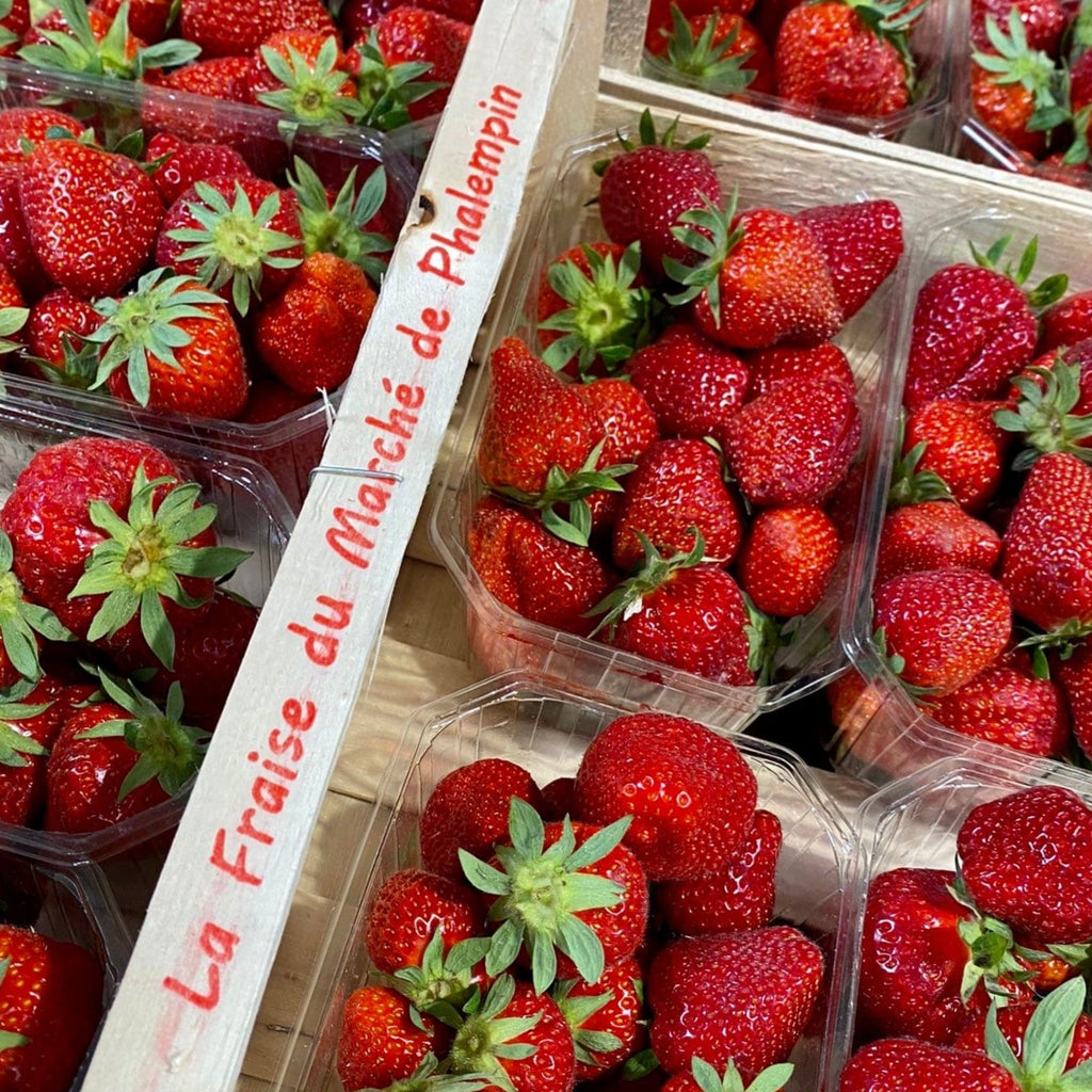 Promis Juré Pot de glace fraise locale - 470ml vrac-zero-dechet-ecolo-lille-pilaterie